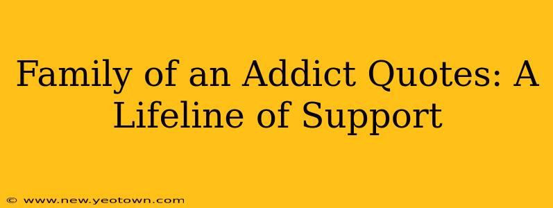 Family of an Addict Quotes: A Lifeline of Support