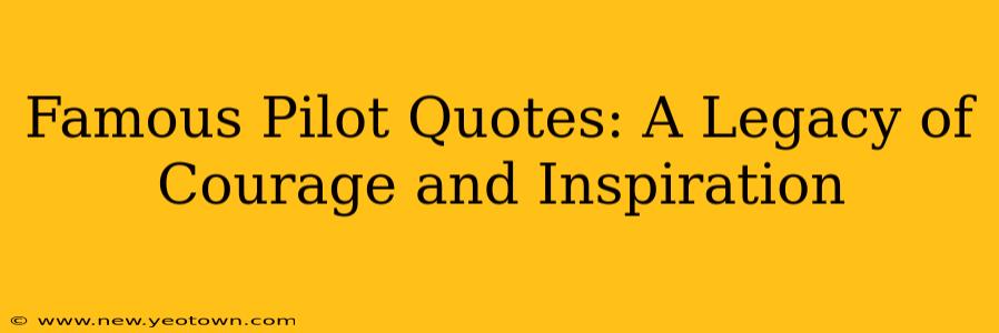 Famous Pilot Quotes: A Legacy of Courage and Inspiration