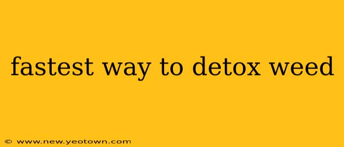 fastest way to detox weed