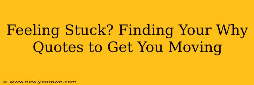 Feeling Stuck? Finding Your Why Quotes to Get You Moving