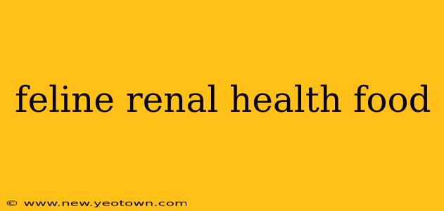feline renal health food