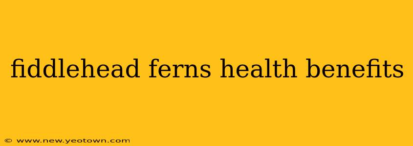 fiddlehead ferns health benefits