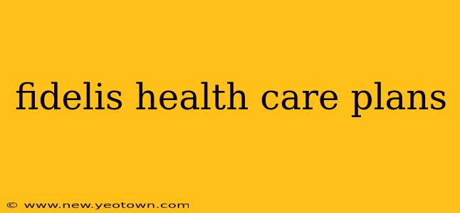 fidelis health care plans