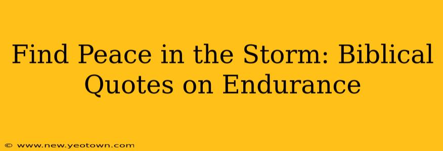 Find Peace in the Storm: Biblical Quotes on Endurance