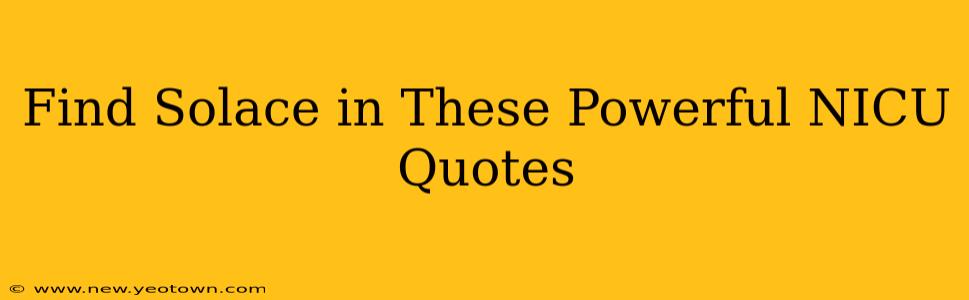Find Solace in These Powerful NICU Quotes