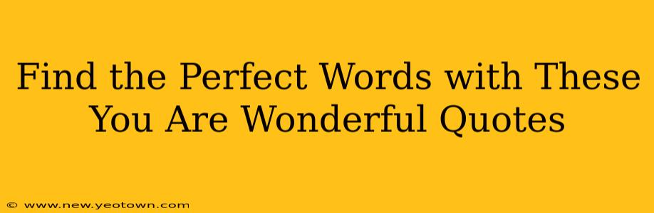 Find the Perfect Words with These You Are Wonderful Quotes