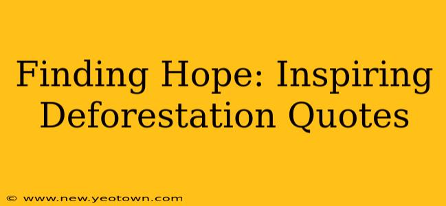 Finding Hope: Inspiring Deforestation Quotes