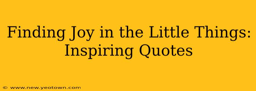 Finding Joy in the Little Things: Inspiring Quotes