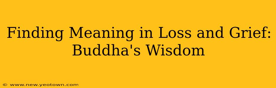 Finding Meaning in Loss and Grief: Buddha's Wisdom