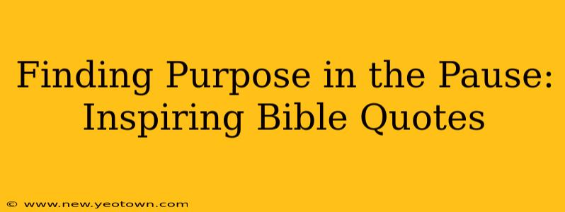 Finding Purpose in the Pause: Inspiring Bible Quotes
