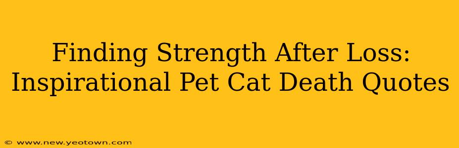 Finding Strength After Loss: Inspirational Pet Cat Death Quotes