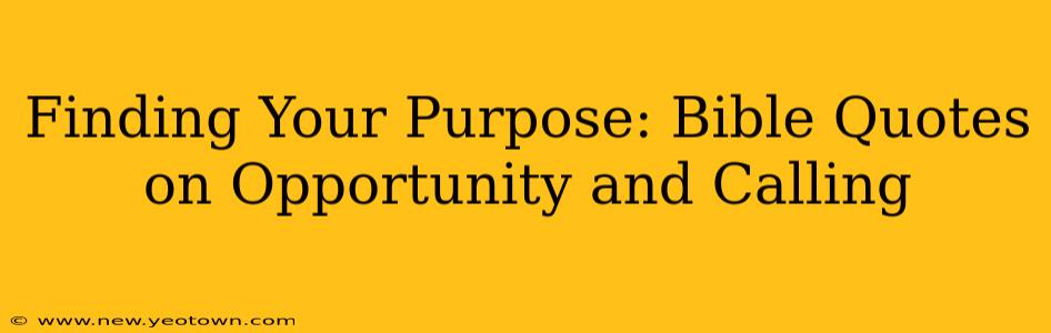 Finding Your Purpose: Bible Quotes on Opportunity and Calling