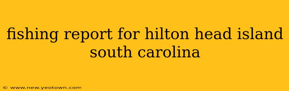 fishing report for hilton head island south carolina