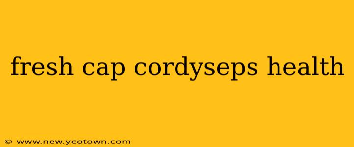 fresh cap cordyseps health