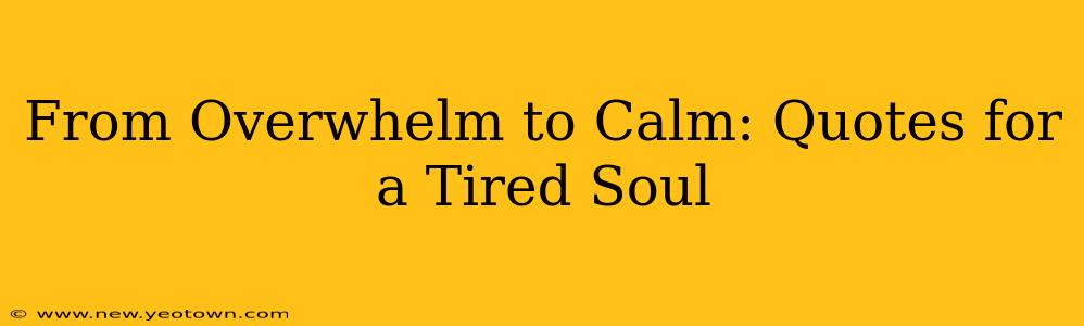 From Overwhelm to Calm: Quotes for a Tired Soul