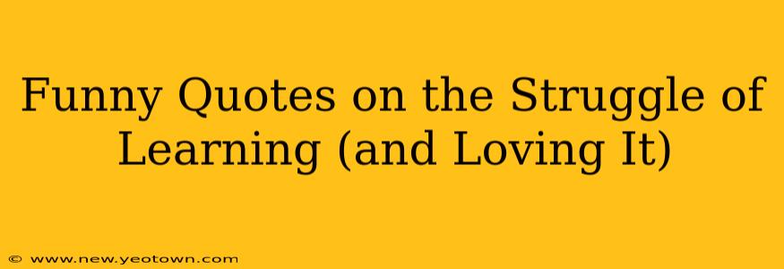 Funny Quotes on the Struggle of Learning (and Loving It)