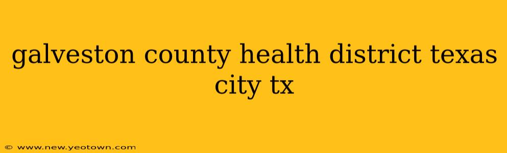 galveston county health district texas city tx