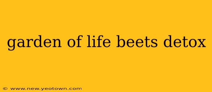 garden of life beets detox
