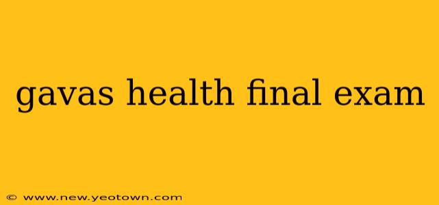 gavas health final exam