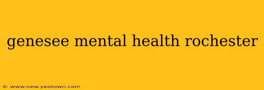 genesee mental health rochester