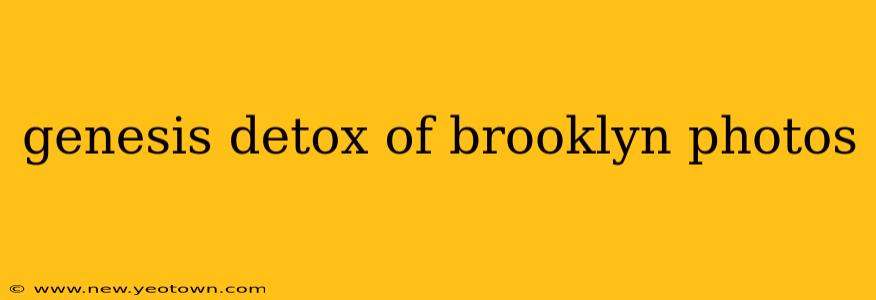 genesis detox of brooklyn photos