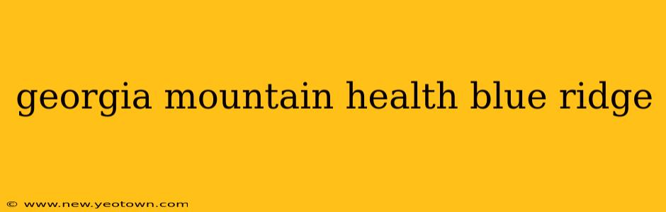 georgia mountain health blue ridge