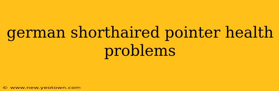 german shorthaired pointer health problems