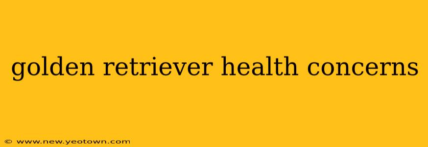 golden retriever health concerns