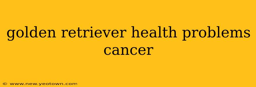 golden retriever health problems cancer