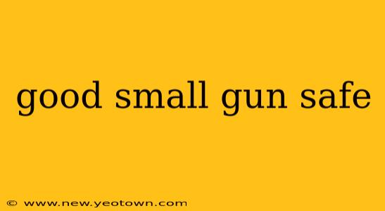 good small gun safe