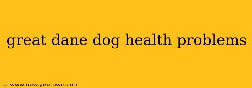 great dane dog health problems