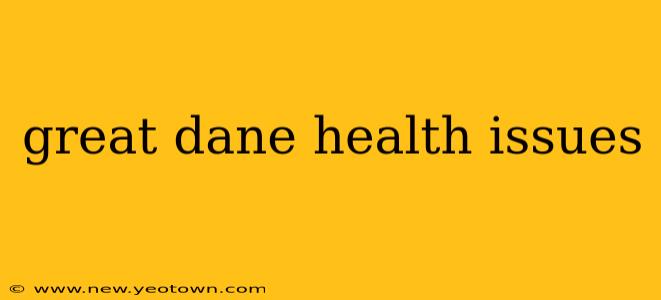 great dane health issues