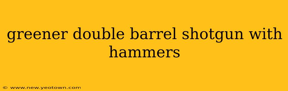 greener double barrel shotgun with hammers