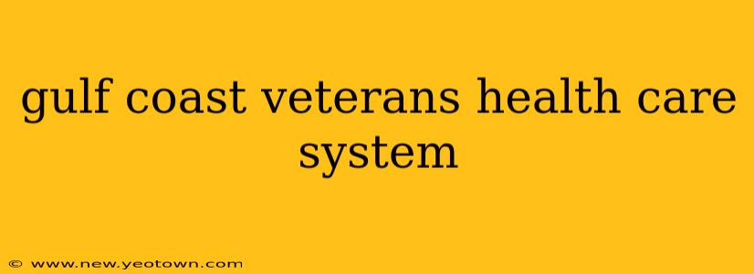 gulf coast veterans health care system