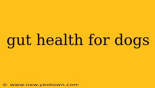 gut health for dogs