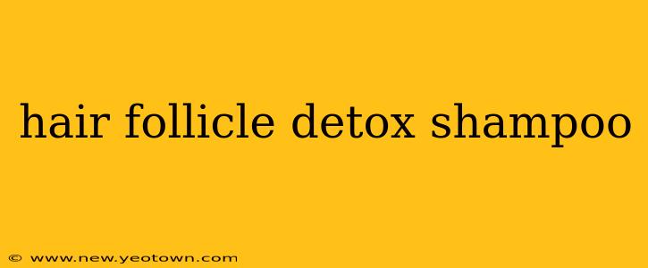 hair follicle detox shampoo