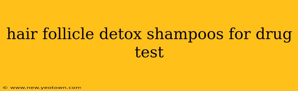 hair follicle detox shampoos for drug test