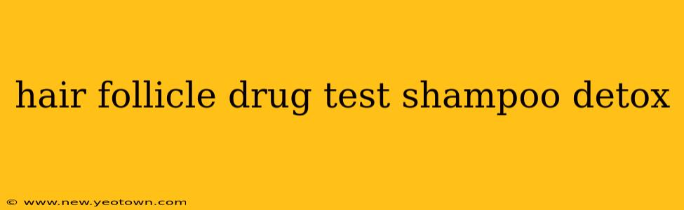 hair follicle drug test shampoo detox
