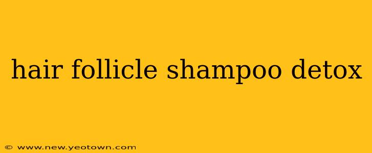 hair follicle shampoo detox