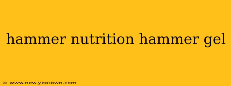 hammer nutrition hammer gel