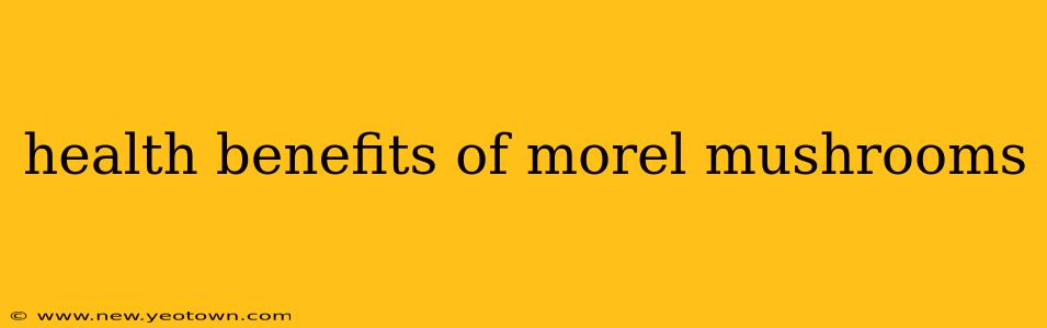 health benefits of morel mushrooms