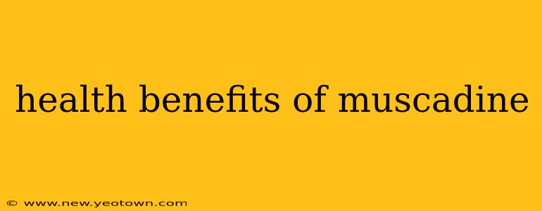 health benefits of muscadine