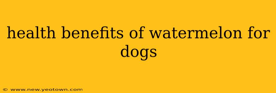 health benefits of watermelon for dogs