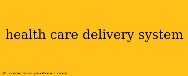 health care delivery system