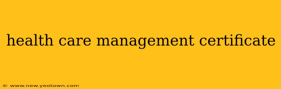 health care management certificate