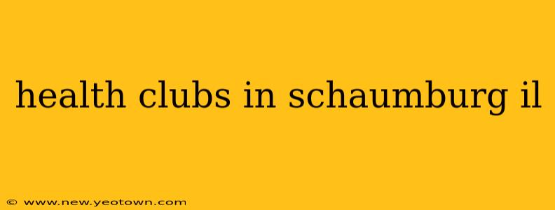 health clubs in schaumburg il
