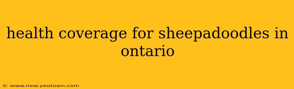 health coverage for sheepadoodles in ontario