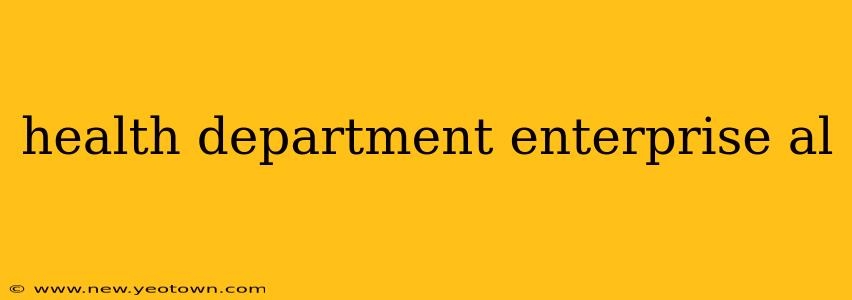 health department enterprise al