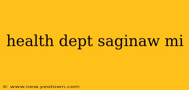 health dept saginaw mi