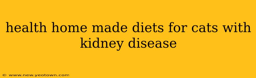 health home made diets for cats with kidney disease